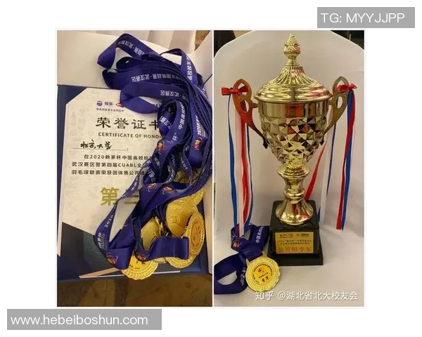 武汉羽毛球队耐力训练的深度分析与提升策略探讨 武汉羽毛球队耐力训练的深度分析与提升策略探讨