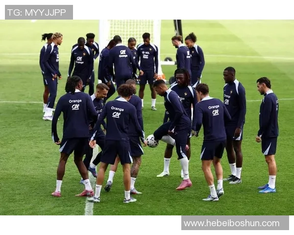 2019年欧洲预选赛精彩回顾法国队对阵冰岛队的激烈较量与精彩瞬间 2019年欧洲预选赛精彩回顾法国队对阵冰岛队的激烈较量与精彩瞬间