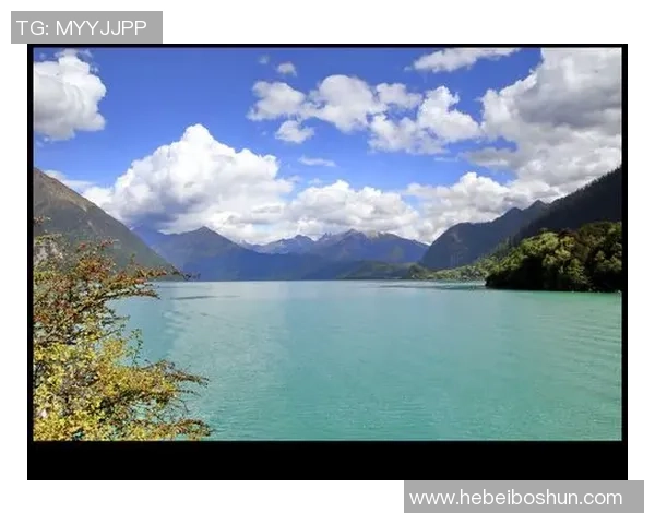 可兰白克的传奇人生与文化影响力探讨之旅